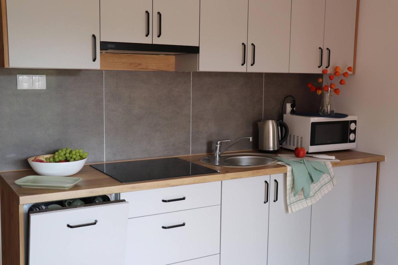Apartamenty Pardalowka 50 Zakopane Extérieur photo
