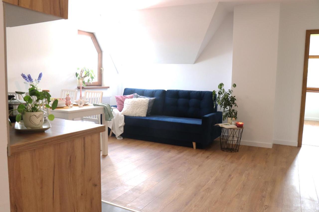 Apartamenty Pardalowka 50 Zakopane Extérieur photo